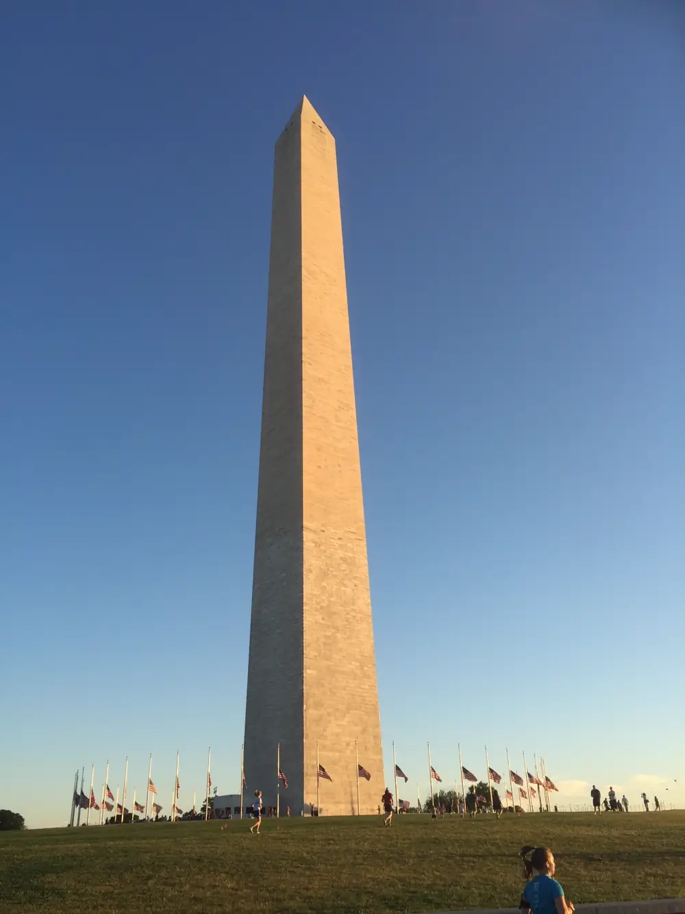 Fifty U.S. flags at half-staff in mourning at the Washington Monument